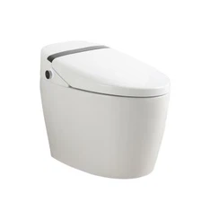 Smart twalèt bidet